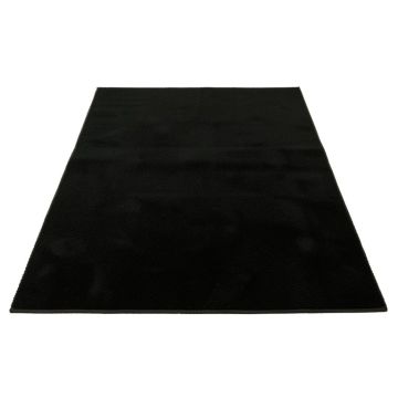 Dawn Branch Rectangular Area Rug - Black