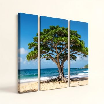Green Tree On Beach In Kauai Hawaii - 3 Piece Photographic Print On Wrapped Canvas Set (synthetic illustration; no displayed measurements)