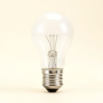 5 Watt ( 60 Watt Equivalent ) , B11 Led , Dimmable Light Bulb , E12 Candelabra Base (synthetic illustration; no displayed measurements)