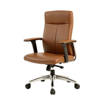 Seeneytown Ergonomic Office Chair
