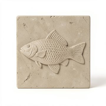 6 '' X 6 '' Cement Whole Fish Fossil Impression Decorative Accent Tile In Buff (synthetic illustration; no displayed measurements)