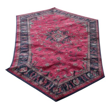 Elliott Peacock Blue/Fuchsia Area Rug