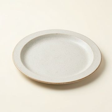 Riley Transitional Platter (synthetic illustration; no displayed measurements)
