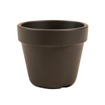Latoya Plastic Pot Planter