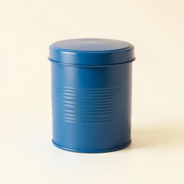 Stone Arc Storage Canister With Lid - Blue (synthetic illustration; no displayed measurements)