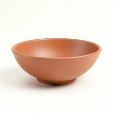 Lake Branch Dining Bowl - Terracotta (synthetic illustration; no displayed measurements)