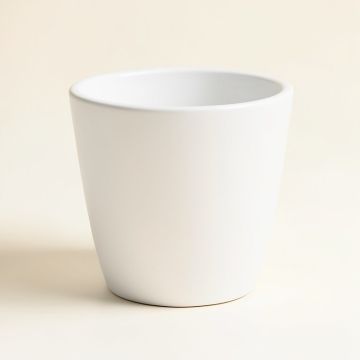 Capon Pot Planter (synthetic illustration; no displayed measurements)