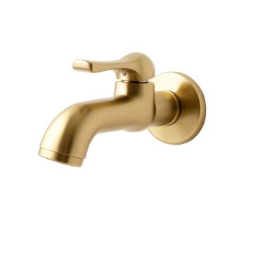 Cassidy Wall Mounted Bathroom Faucet