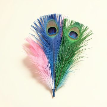 Eye Natural Peacock Tails Feathers (synthetic illustration; no displayed measurements)