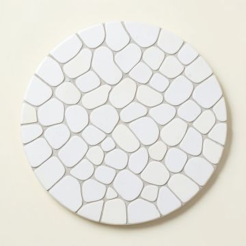 Shore Penny 0.98 '' X 0.98 '' Seashell Penny Round Mosaic Tile (synthetic illustration; no displayed measurements)