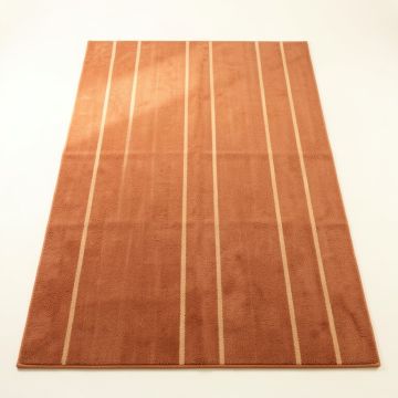 Briar Brook Rectangular Area Rug - Terracotta (synthetic illustration; no displayed measurements)