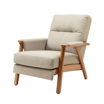 Daschel 34.6 '' Wide Power Lift Assist Standard Recliner