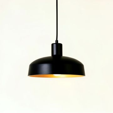Maple Bluff Pendant Light Suspended From One Plain Cable - Black (synthetic illustration; no displayed measurements)