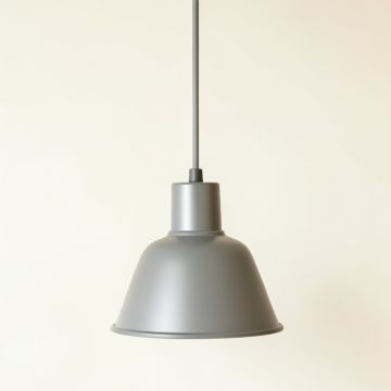 Vale Crossing Pendant Light Suspended From One Plain Cable - Gray (synthetic illustration; no displayed measurements)