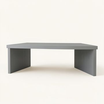 Linden Field Desktop Monitor Riser - Gray (synthetic illustration; no displayed measurements)