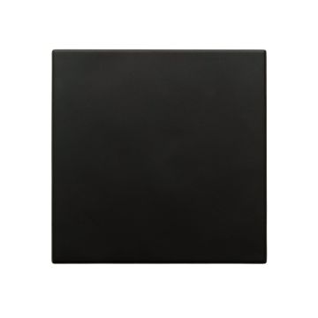 Oak Branch Uninstalled Square Decorative Tile - Black