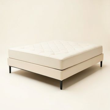 Leonard Tufted Upholstered Platform Bed (synthetic illustration; no displayed measurements)