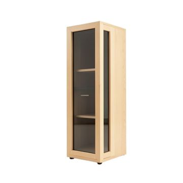 Glass Panel Door Audio Cabinet