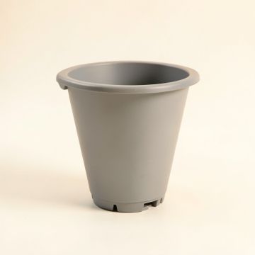 Flint Dale Empty Railing Planter With Integral Brackets - Gray (synthetic illustration; no displayed measurements)