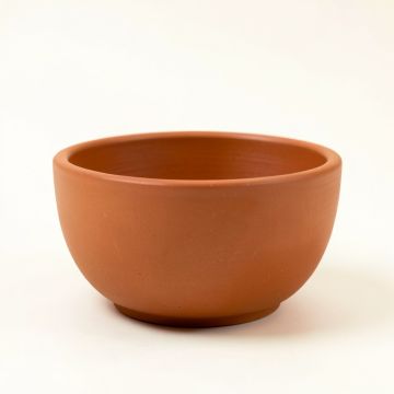 Stone Bend Empty Planter - Terracotta (synthetic illustration; no displayed measurements)
