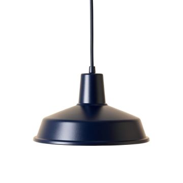 Slate Branch Pendant Light Suspended From One Plain Cable - Navy