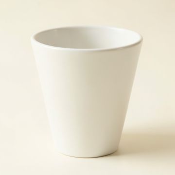 Meadow Crossing Empty Planter - White (synthetic illustration; no displayed measurements)