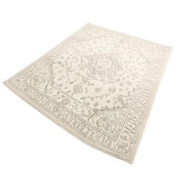 Aiken Oriental Ivory/Sliver Area Rug