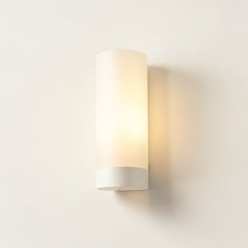 Darius 1-Light Wall Sconce (synthetic illustration; no displayed measurements)