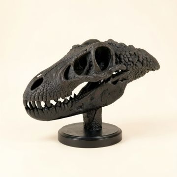 Dinosaur Skull With Base (synthetic illustration; no displayed measurements)