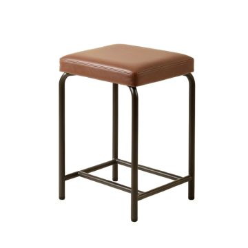 Tardif Bar & Counter Stool