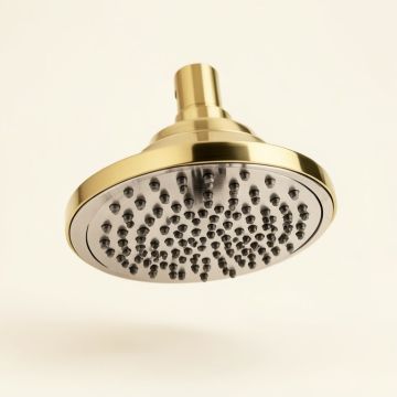 Vintage Anystream 2.0 Gpm Multi-Function Adjustable Brass Shower Head (synthetic illustration; no displayed measurements)