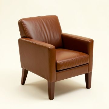 Zebra Arm Chair (synthetic illustration; no displayed measurements)