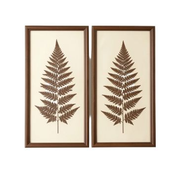 Large Vintage Fern Illustrations Framed Botanical Prints Wall Art | Set Of 2 , 19 ” X 25.5 ” Each