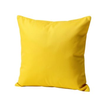 Witzel Dinosaur Expert Throw Pillow