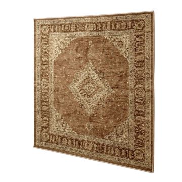 Tiona Power Loom Brown Area Rug