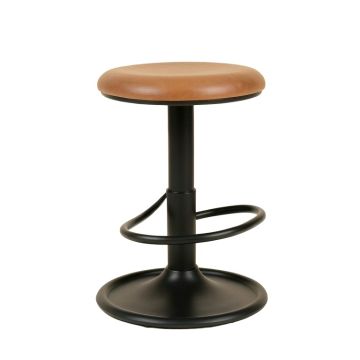 Hisham Swivel Adjustable Height Bar Stool