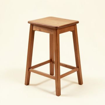 Delacruz Adjustable Height Bar Stool (synthetic illustration; no displayed measurements)
