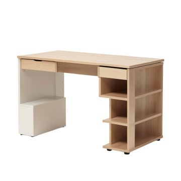 Home Office 54 '' Large Computer Desk With 10 Storage Shelves