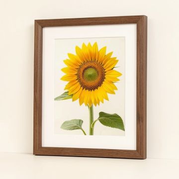 Sunflower In A Drop Framed Photographic Print (synthetic illustration; no displayed measurements)