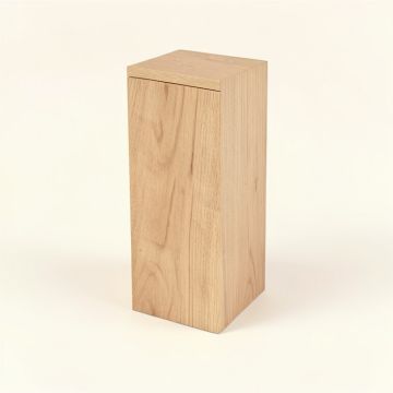 Fleischmann 47.2 '' Single Bathroom Vanity Base Only (synthetic illustration; no displayed measurements)