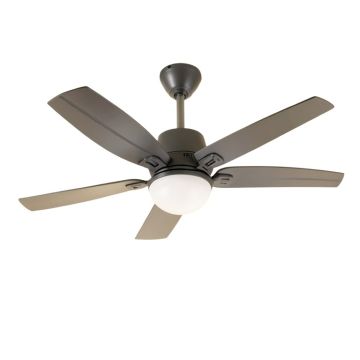 Balyeet 5 - Blade Ceiling Fan