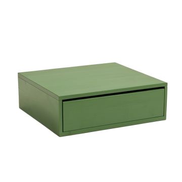 Holly Branch Desktop Monitor Riser - Green