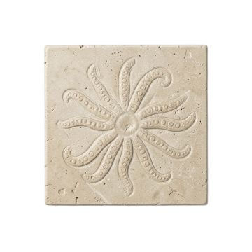 6 '' X 6 '' Seastone Cement Squid Fossil Impression Square Edge Medallion Tile In Buff (synthetic illustration; no displayed measurements)