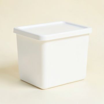 Fern Dell Closed Outdoor Storage Box - White (synthetic illustration; no displayed measurements)