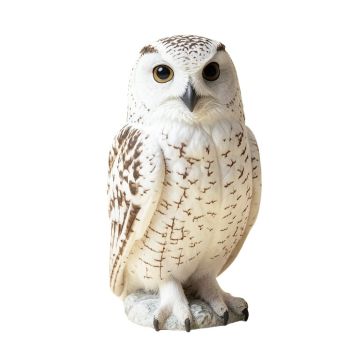 Snowy Owl