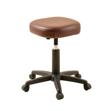 Wilhelm Height Adjustable Lab Stool With Dual Wheel