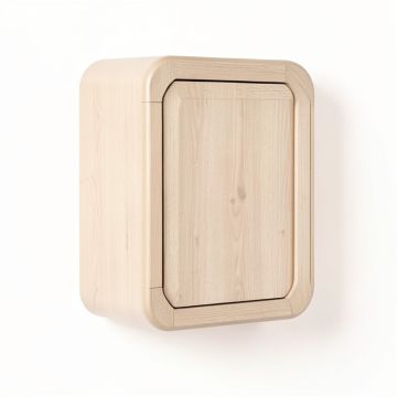 Elm Bend Wall-Mounted Laundry Cabinet - Beige (synthetic illustration; no displayed measurements)