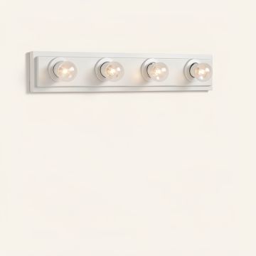 Lihua 4-Light Vanity Light (synthetic illustration; no displayed measurements)