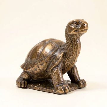 Donita Reading Tortoise And Hare Solar Statue (synthetic illustration; no displayed measurements)
