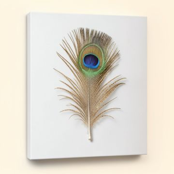 Golden Blue Peacock Feather Ii - Print On Canvas (synthetic illustration; no displayed measurements)